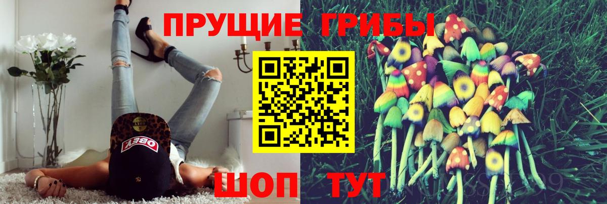 Псилоцибиновые грибы GOLDEN TEACHER  Вход с VPN  Псилоцибиновые грибы мицелий  Рязань 